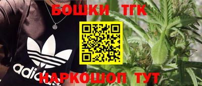 крисы Канаш