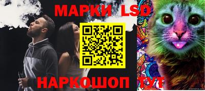 круглые Камышлов
