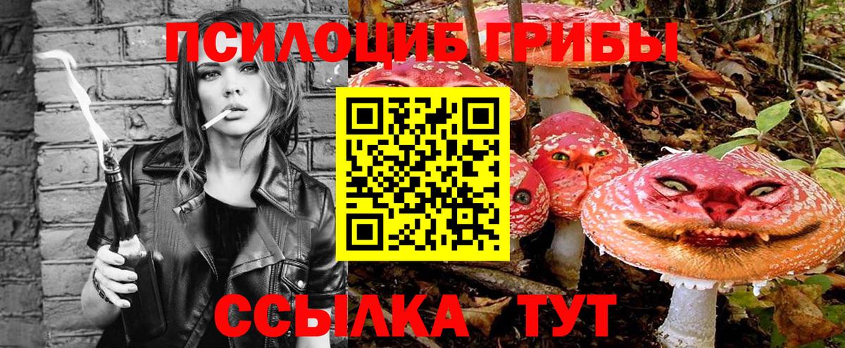 хочу   Вход с VPN  Лесозаводск  Псилоцибиновые грибы Psilocybe 